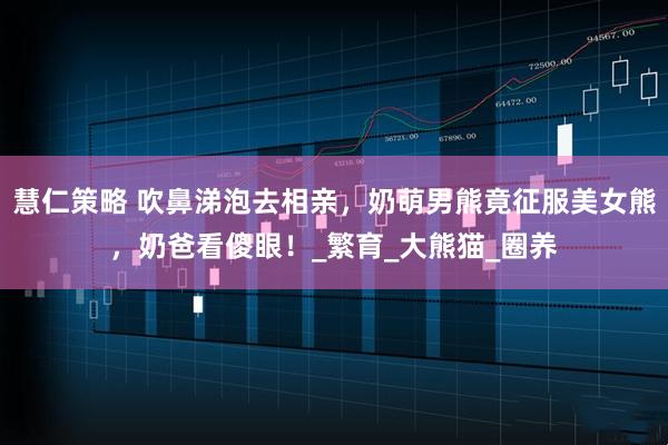 慧仁策略 吹鼻涕泡去相亲，奶萌男熊竟征服美女熊，奶爸看傻眼！_繁育_大熊猫_圈养