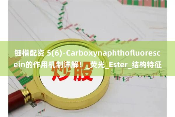 钿楷配资 5(6)-Carboxynaphthofluorescein的作用机制详解！_荧光_Ester_结构特征