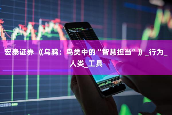 宏泰证券 《乌鸦：鸟类中的“智慧担当”》_行为_人类_工具