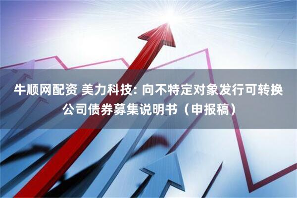 牛顺网配资 美力科技: 向不特定对象发行可转换公司债券募集说明书（申报稿）