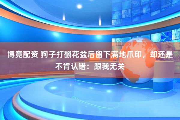 博竟配资 狗子打翻花盆后留下满地爪印，却还是不肯认错：跟我无关