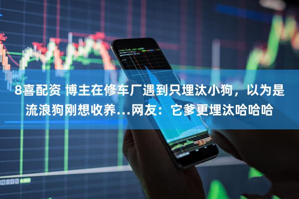 8喜配资 博主在修车厂遇到只埋汰小狗，以为是流浪狗刚想收养…网友：它爹更埋汰哈哈哈