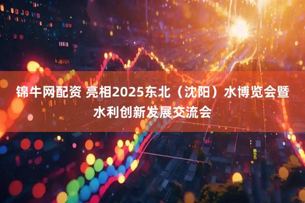 锦牛网配资 亮相2025东北（沈阳）水博览会暨水利创新发展交流会