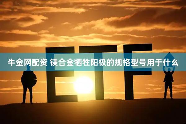 牛金网配资 镁合金牺牲阳极的规格型号用于什么